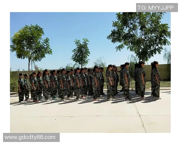 陈强畅谈和平精英职业生涯的成长与挑战分享 陈强畅谈和平精英职业生涯的成长与挑战分享