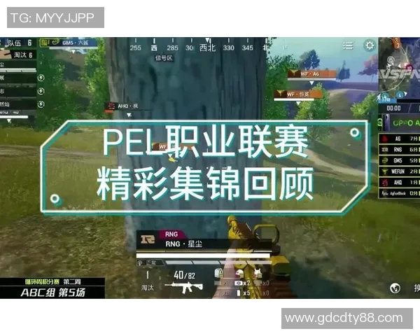 电竞数据聚焦和平精英RNG战队速度提升策略与战术分析 电竞数据聚焦和平精英RNG战队速度提升策略与战术分析